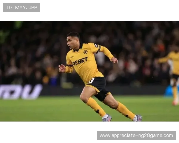 狼队赛季最新动态：核心球员表现抢眼球队战绩持续上升